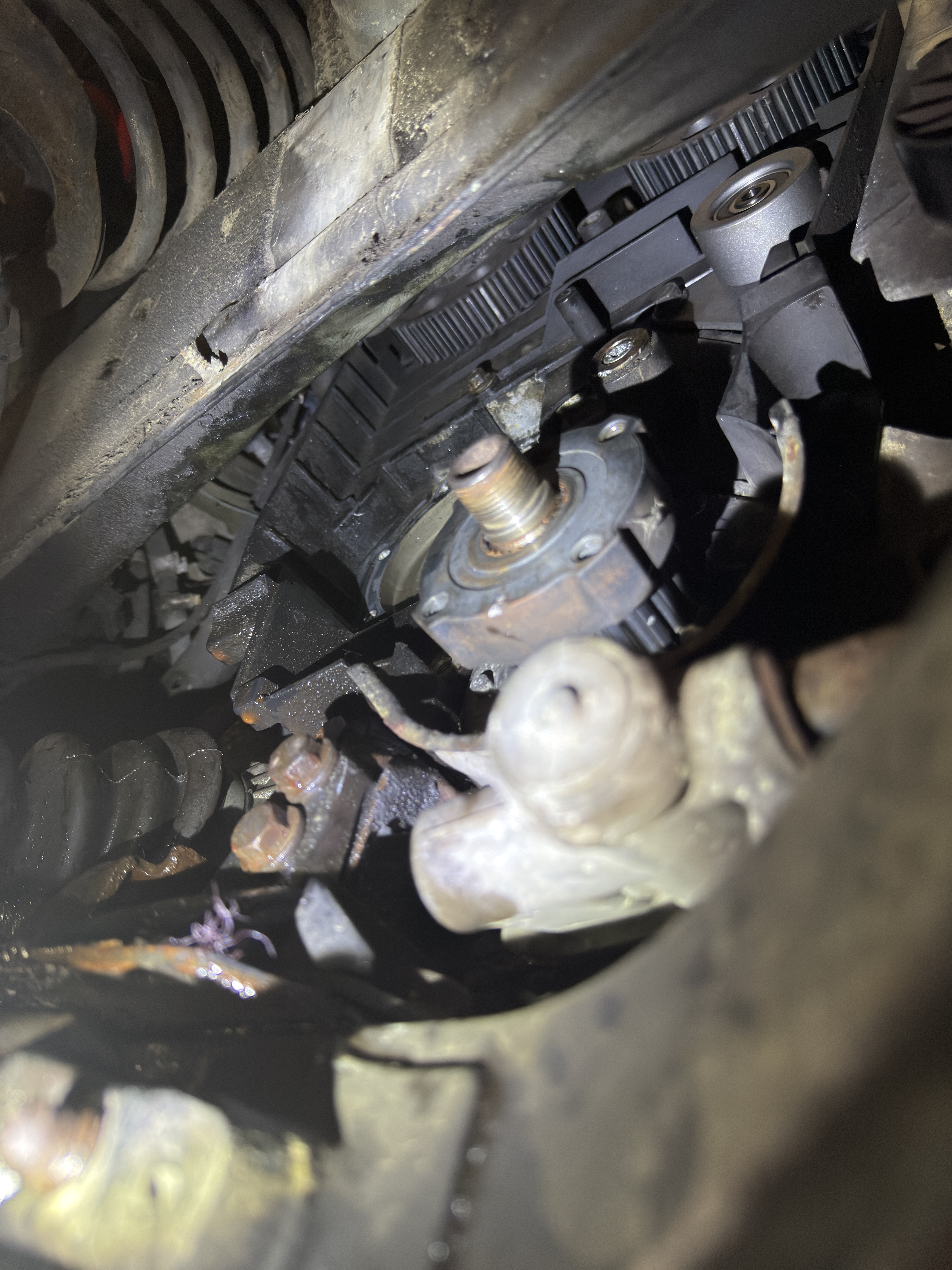 Volvo V70 T5 Zahnriemen